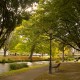 Jardin botanique de Christchurch in New Zealand - Photo © Pierre-André FAUTRIER