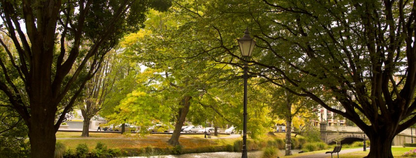 Jardin botanique de Christchurch in New Zealand - Photo © Pierre-André FAUTRIER