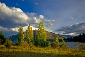 Un matin d'automne à Wanaka © Pierre André Fautrier