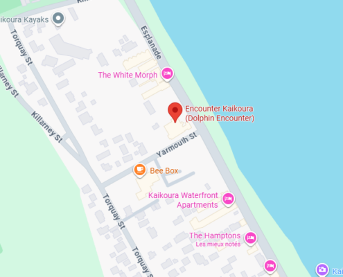 Dolphin-Encounter-map